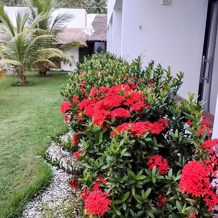 Mar Turquesa Eco Pousada Maragogi Exterior foto